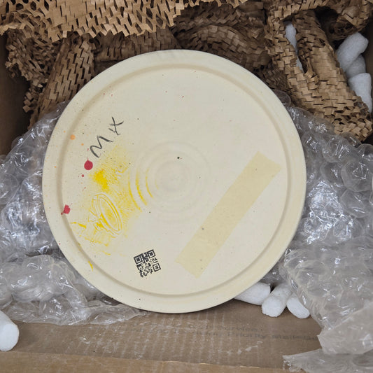 Bucket Lid